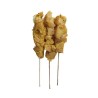 BROCHETTES DE POULET 1KG