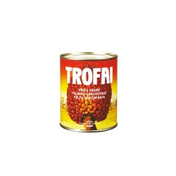 SAUCE GRAINE DE PALM TROFAI 400G