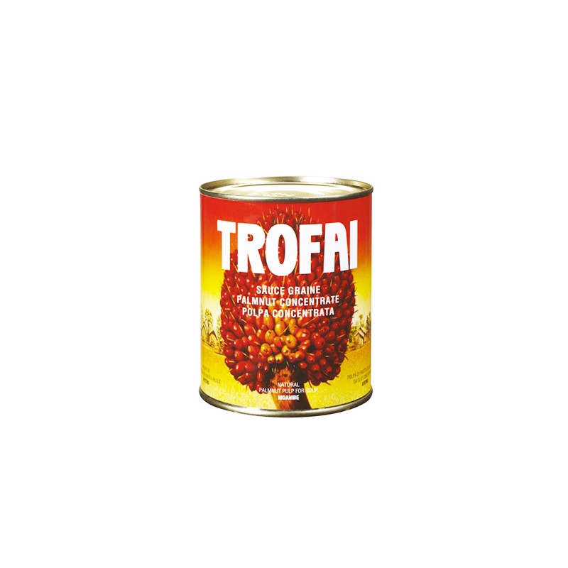 SAUCE GRAINE DE PALM TROFAI 400G