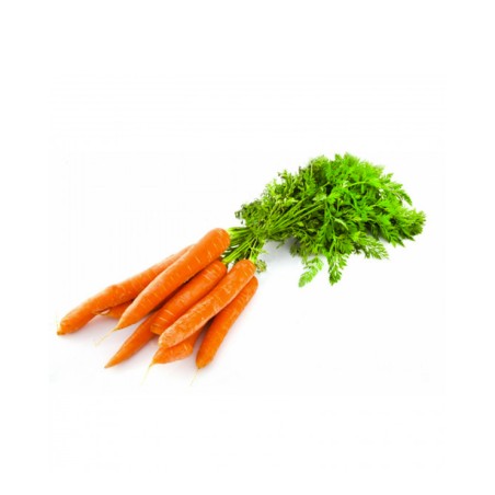 CAROTTES (KG)