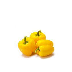 POIVRON JAUNE 250G