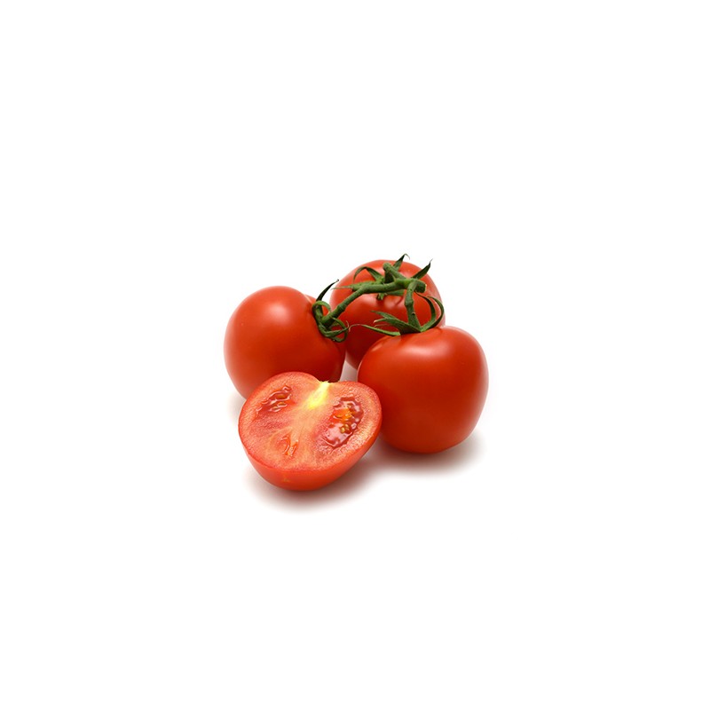 TOMATE