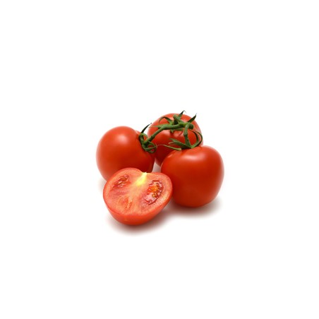 TOMATE