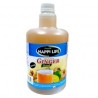 JUS DE GINGEMBRE-CITRON 500ML